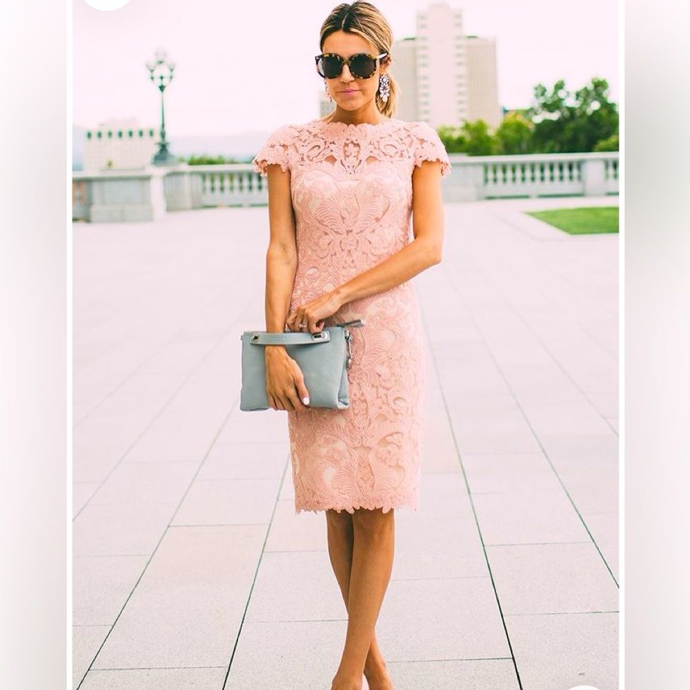 Blush Lace Tadashi Shoji Sheath Dress